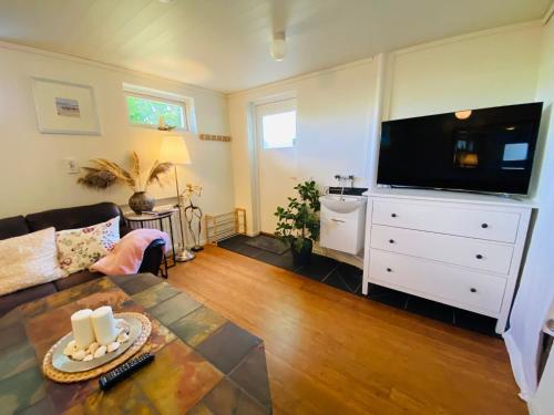 sala de estar con sofá y TV de pantalla plana en Brunns Lake House en Ulricehamn