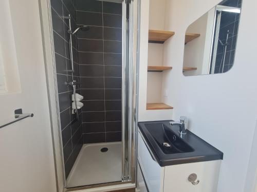 une salle de bain avec un lavabo et une douche dans l'établissement Maison La tranche sur Mer proche centre ville et plages, à La Tranche-sur-Mer