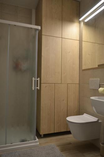 a bathroom with a shower and a toilet and a sink at APARTMA VODNIK in Bohinj