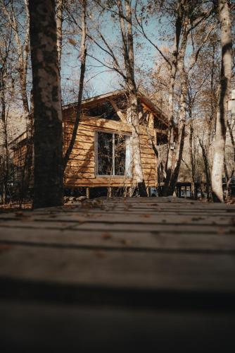 a log cabin in the woods with trees at Cabañas Huilipan in Las Trancas