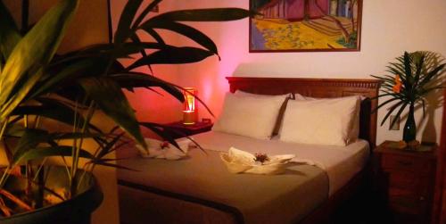 una camera da letto con un letto con una pianta e una lampada di Posada Pittier 