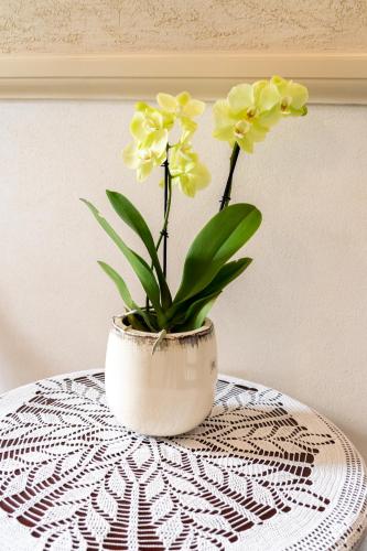 a vase with yellow flowers sitting on a table at Aparthotel Karmel in Kraków