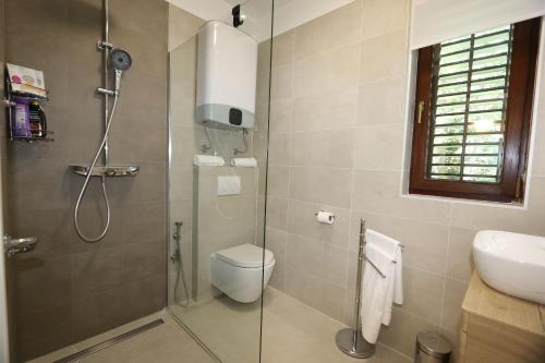 a bathroom with a shower and a toilet and a sink at Apartment Elena in Soline