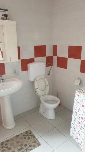 a bathroom with a toilet and a sink at Apartmani Borko 3-3 in Loznica