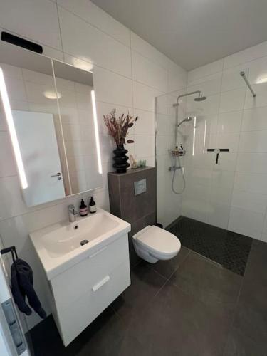 Un baño con lavabo, inodoro y ducha. en Golden Circle house 1, en Selfoss