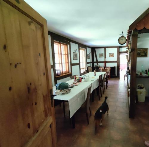 a dining room with tables and a dog standing in the middle at Villa Stare Osieczno in Stare Osieczno