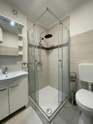 a bathroom with a shower and a toilet and a sink at PLOMIN SKY&BAY in Plomin
