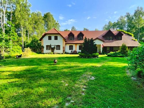 a house with two dogs in the yard at Villa Stare Osieczno in Stare Osieczno