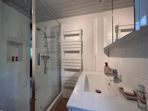 La salle de bains blanche est pourvue d'un lavabo et d'une douche. dans l'établissement La Source Marie-Elise, à Stavelot