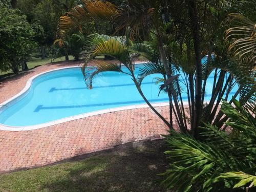 a swimming pool with a palm tree next to it at Hermosa Casa Campestre en Villeta in Villeta