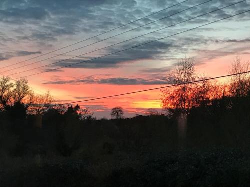 a sunset over a field with trees and power lines at Log cabin rural retreat in beautiful countryside in Lapworth