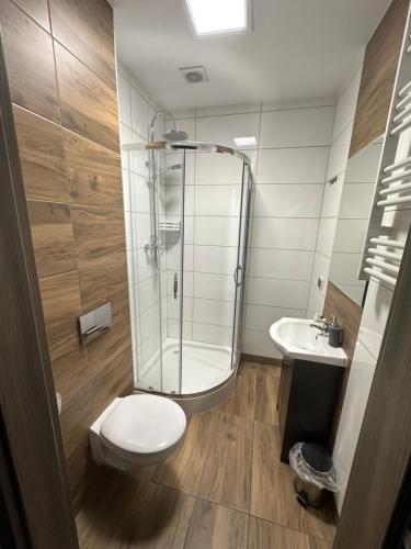 een badkamer met een douche, een toilet en een wastafel bij Noclegi Europol in Siemianowice Śląskie