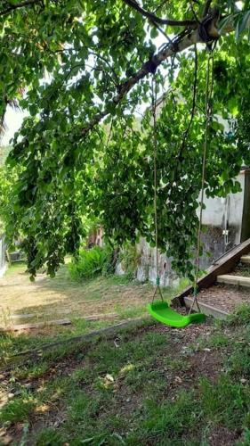 a green swing hanging from a tree in a yard at Loft rural - terrasse parking et vue in Ferrières-sur-Ariège