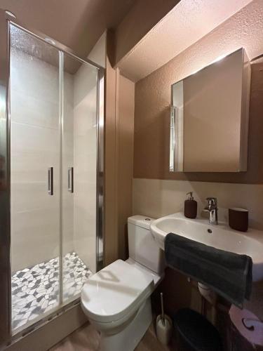 une salle de bain avec toilettes, douche et lavabo dans l'établissement Appart & Studio Hyper Centre de Strasbourg - Proche Cathédrale & Petite France, à Strasbourg