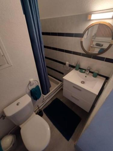 une salle de bain avec toilettes, lavabo et miroir dans l'établissement ABS Appart, Agréable appart Argelès, à Argelès-sur-Mer