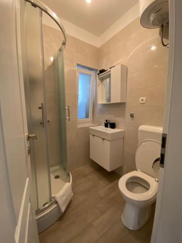 a bathroom with a toilet and a shower and a sink at Sweet house of Iž in Veli Iž