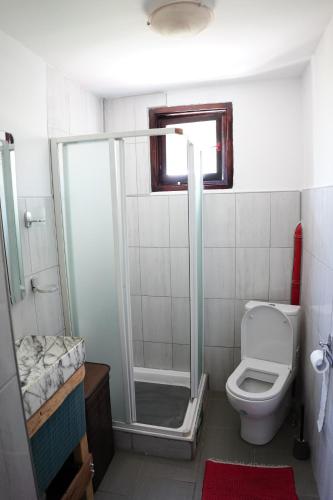 een kleine badkamer met een douche en een toilet bij Etno House BORAK in Kladušnica