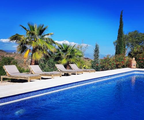una piscina con tumbonas y palmeras en B&B Sara Sueño, en Málaga