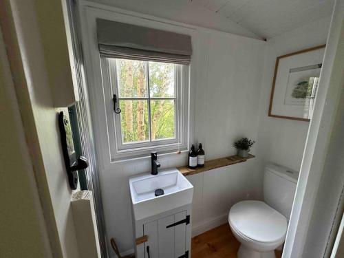 a bathroom with a toilet and a sink and a window at Cornwall Woodland Dog Friendly Shepherd's Hut in Bodmin