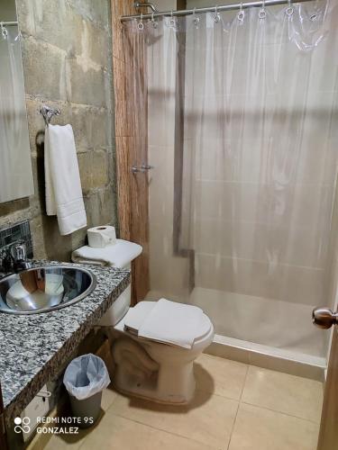 a bathroom with a toilet and a sink and a shower at Alojamiento Carriquí in Pereira
