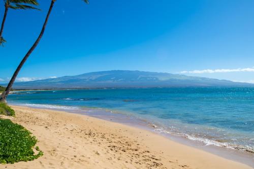 a beach with a palm tree and the ocean at Kanai A Nalu 210 in Wailuku