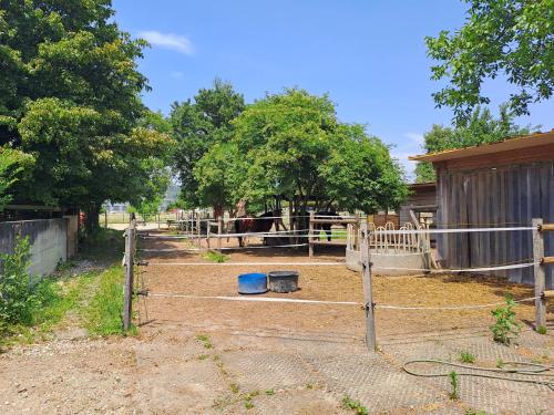 a fence in front of a farm with trees at Alte Scheune, Parken-WLAN-Küche-Bad-Tierlieb in Däniken