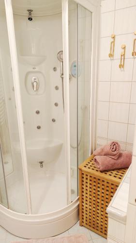 a shower with a glass door in a bathroom at Family apartment 'Sofia' in Brežice