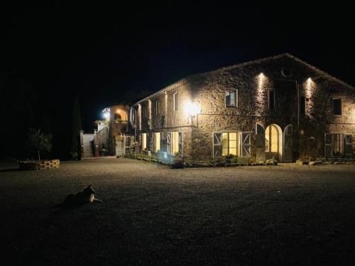 a cat sitting in front of a building at night at Locanda Granducato in Chiusi