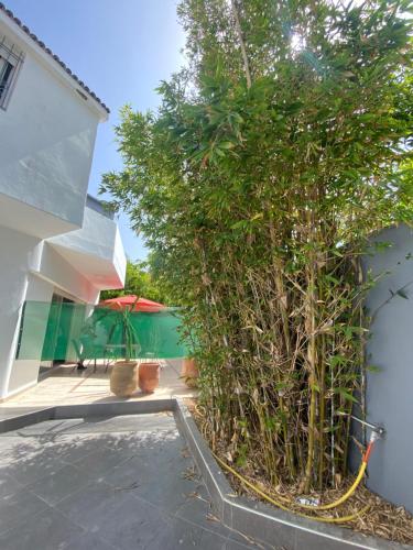 Photo de la galerie de l'établissement Très bel étage de villa avec accès privé, calme en bord de mer, à Skhirat