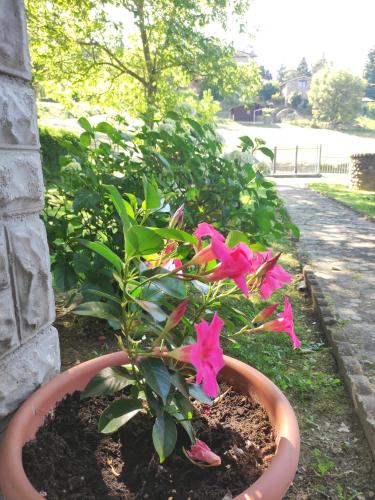 Κήπος έξω από το Villetta con giardino