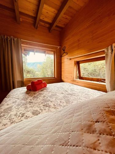 1 dormitorio con 1 cama grande y ventana en Casa Violeta, en Urubici