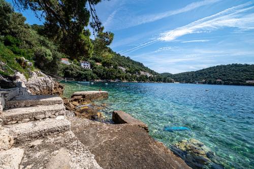 a view of a body of water with trees at Apartments by the sea Ubli, Lastovo - 8344 in Ubli