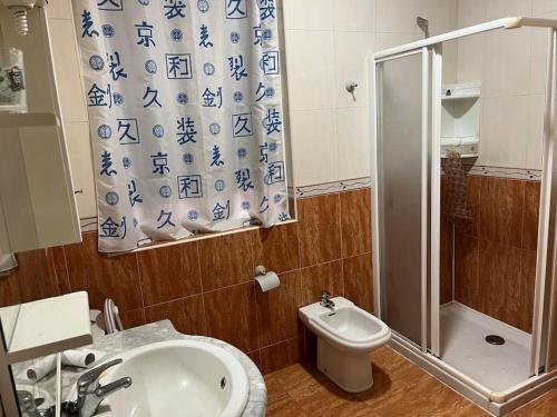 a bathroom with a shower and a sink and a toilet at Piso céntrico in Medina del Campo