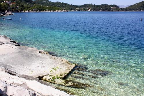 a view of a large body of water at Apartments and rooms with WiFi Sobra, Mljet - 18465 in Babino Polje