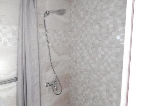 a shower with a shower head in a bathroom at Apartments and rooms with parking space Sobra, Mljet - 18465 in Babino Polje