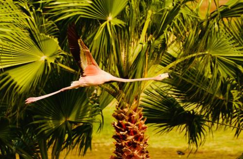 Jardín al aire libre en # Blue Bay Beach - Ocean View Apartments - FULLY AIR CONDITIONED #