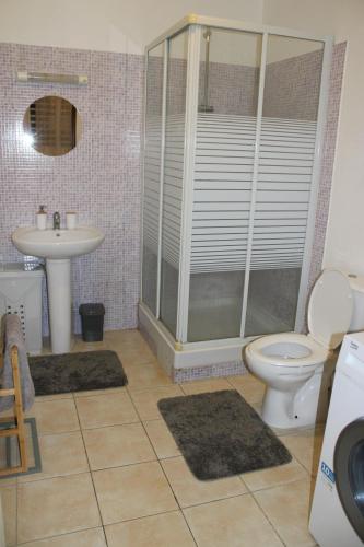 La salle de bains est pourvue d'une douche, de toilettes et d'un lavabo. dans l'établissement L'hibiscus - Proche centre de Cayenne, à Cayenne