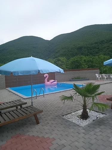 a swimming pool with a pink flamingo in a pool at Vila Nikola 