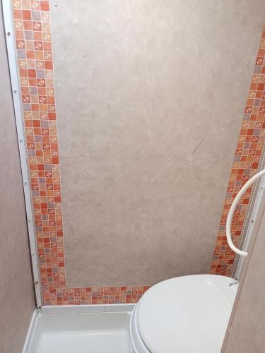 rodante el piñon en EZEQUIEL MONTES في ازيكويل مونتيس: حمام مع مرحاض أبيض ودش