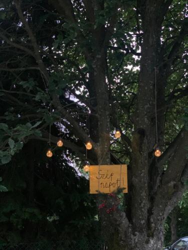 a sign hanging from a tree with lights at Mátrai Kisház in Mátraszentimre