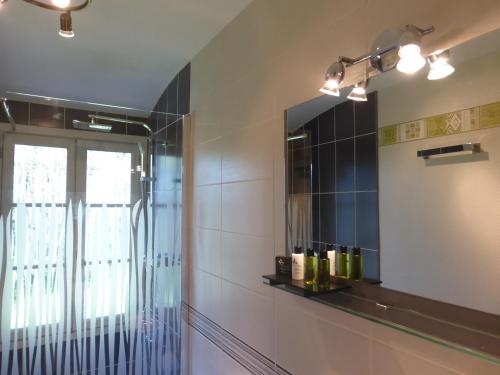La salle de bains est pourvue d'un miroir et d'une fenêtre. dans l'établissement Domaine du Bouloy, à Druyes-les-Belles-Fontaines