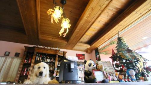 a dog sitting on top of a counter with a christmas tree at Villa Relax in Renai