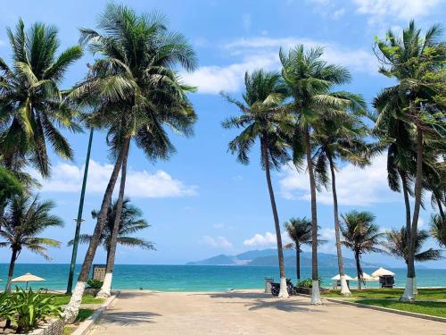a row of palm trees on a beach with the ocean at A sea view beautiful studio apartment in Nha Trang