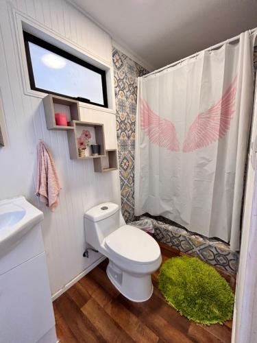 La petite salle de bains est pourvue d'une douche et de toilettes. dans l'établissement Miel House Villa Alemana Beehouse, à Villa Alemana
