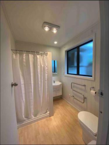 a bathroom with a shower with a toilet and a window at Our Basic Bach - Mangakino in Mangakino