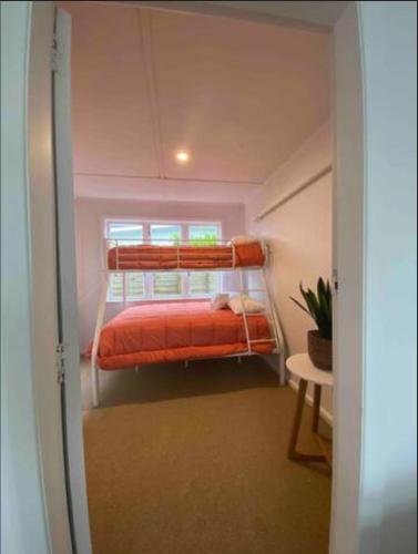 a bedroom with a bunk bed in a room at Our Basic Bach - Mangakino in Mangakino