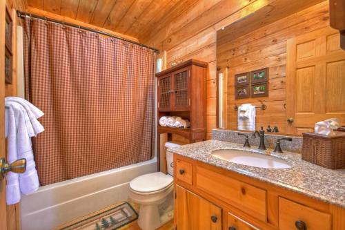ein Bad mit einem Waschbecken und einem WC in einer Hütte in der Unterkunft Graceful Light in Blue Ridge
