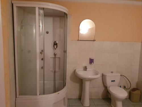 a bathroom with a shower and a toilet and a sink at Diana center Hotel with Grill zone and yard in Chişinău