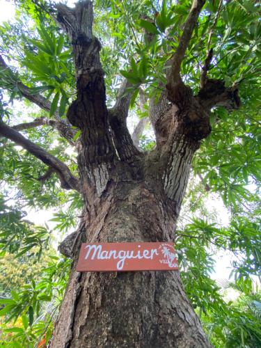 a tree with a sign on the side of it at Villa Gaïa - Bungalow Ti-Spa et son jacuzzi privé dans un jardin tropical, séjour en amoureux ou en famille in Le Diamant