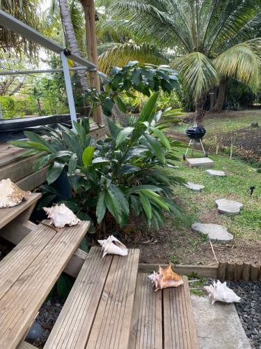 two wooden benches in a garden with palm trees at Villa Gaïa - Bungalow Ti-Spa et son jacuzzi privé dans un jardin tropical, séjour en amoureux ou en famille in Le Diamant